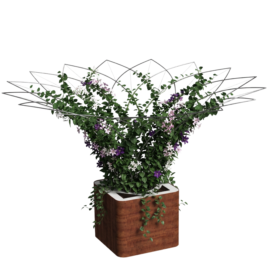 bac avec structure métallique pour plantes grimpantes